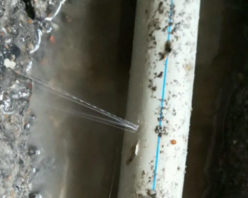 武侯卫生间测漏水多少钱
